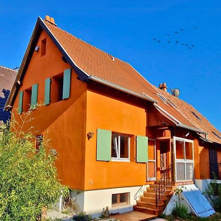 Beau Logement Au Centre D'Alsace Epfig 外观 照片